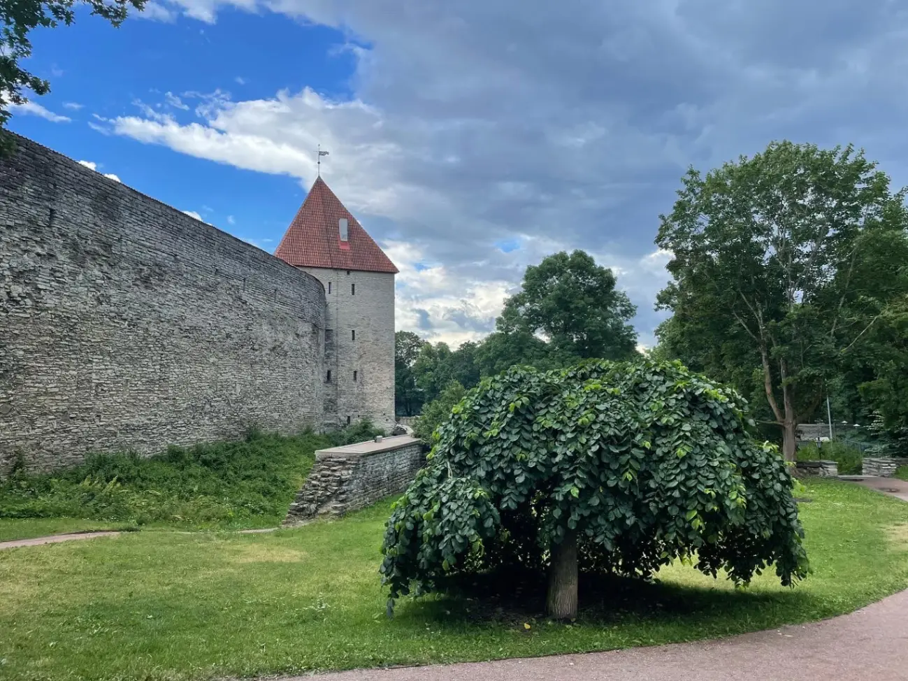 2022-07-10 20.21.18-4.jpg