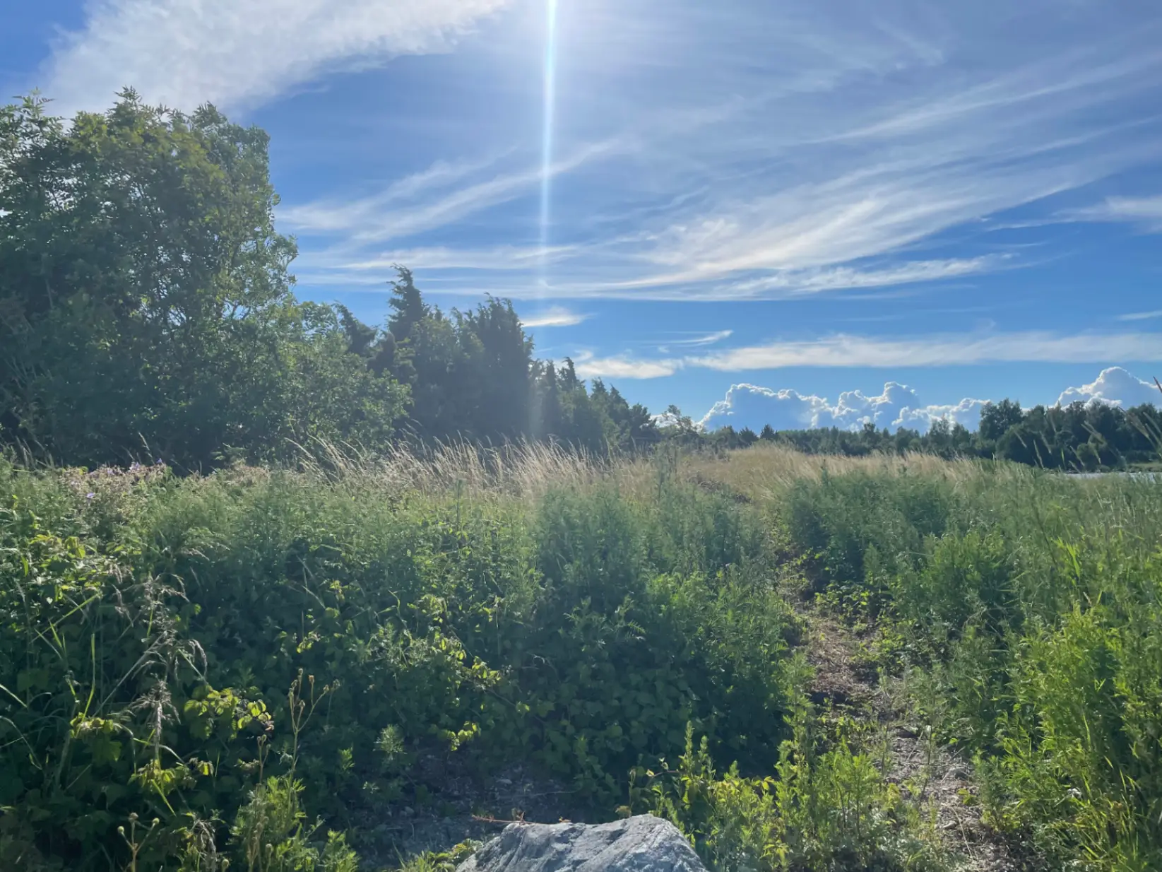 2022-07-11 17.49.56.jpg